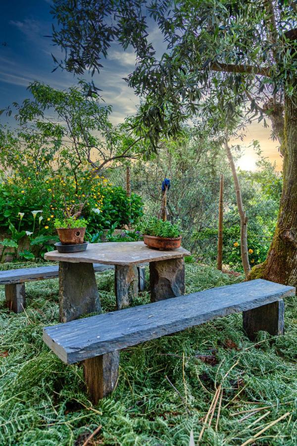 Вилла Casa Fundo Dos Palheiros Sobrainho dos Gaios Экстерьер фото